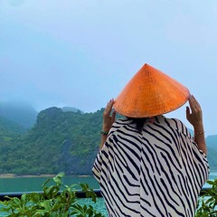 SAIGON TO HANOI June 2024