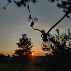 Крики тиші | iT’e