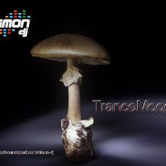 Simondj - TranceMoods