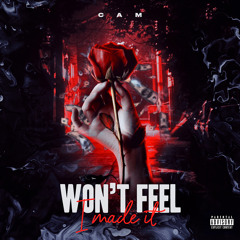 Wont Feel I Made It