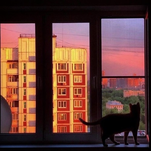 телесериал [тгк kristiee2025]