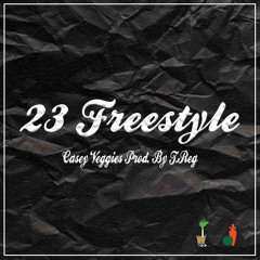 23 Freestyle (prod. T. Reg)