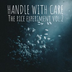 The rice experiment 2026 V2