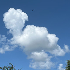my_Heart_