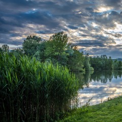 А над Ставом вербонька .mp3