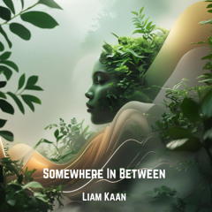 Somewhere In Between