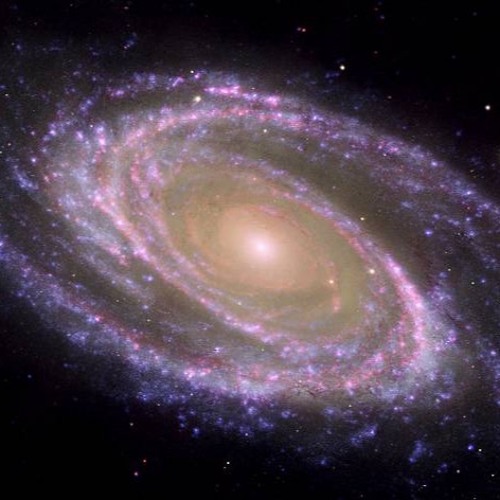 Messier 81