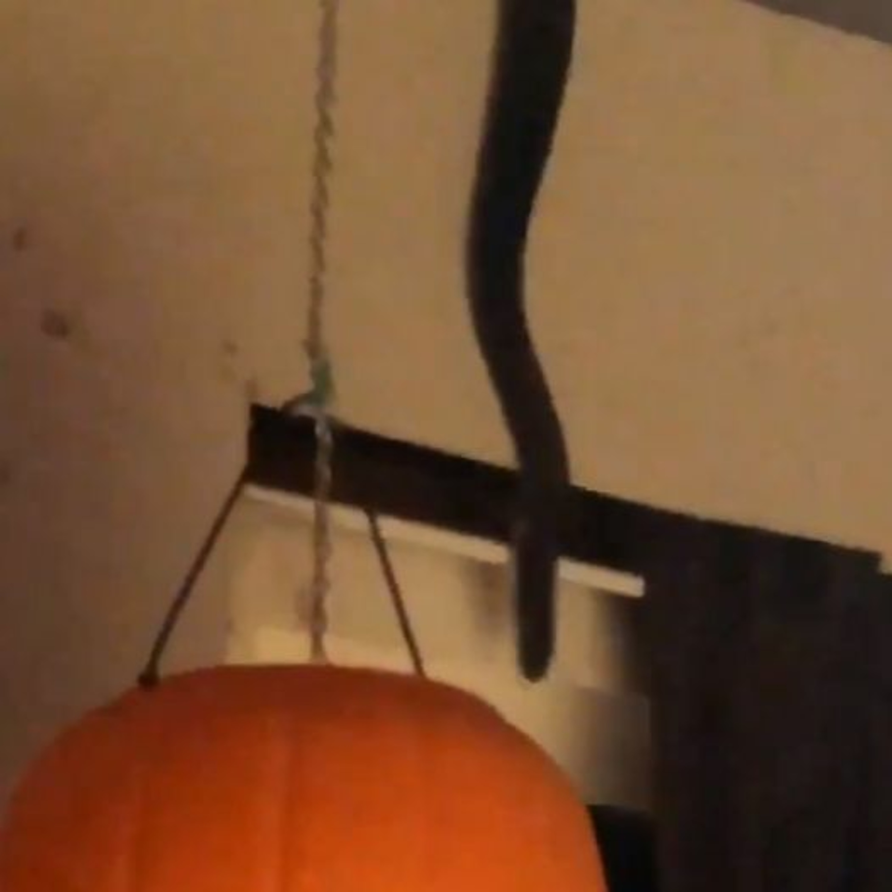 RYM Pourch Tour Maryland Private Bar