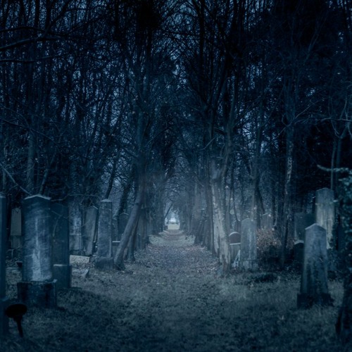 Pass Thru Dem Trees (prod. Thorn Beats)