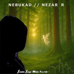 Nezar R