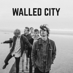 Nightingales Of The Walled City - Giant Rooks (live)