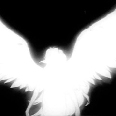 my songs in labels/collab