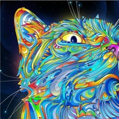 #01 - MiniSet - 1/2 - BushZenon - 테스트  - 09.04.2023
