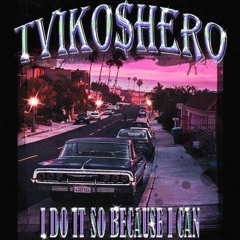 I DO IT SO BECAUSE I CAN