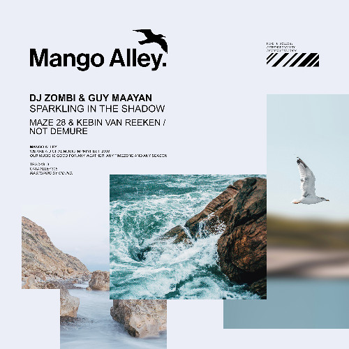 PREMIERE: DJ Zombi & Guy Maayan - Sparkling In The Shadow [Mango Alley]