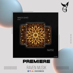 PREMIERE: Wailey, Ghazi - Gods (Extended Mix) [Polyptych Noir]