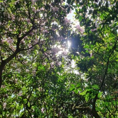 Force Of Nature (Jort Disstrack) FEAT. dikke d [PROD. Dabbel D]