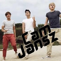 what makes you beautiful (cam jansz rework)