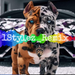 Mon Bebe x Unapologetic [Melo x Kidi x 1Stylez Remix] 2k25
