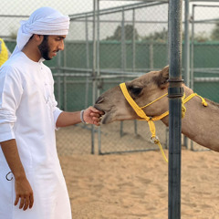 حب الهجن 🤍💯