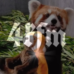 u astrally project ur bs