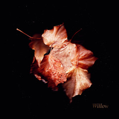 Scrimshire - Willow
