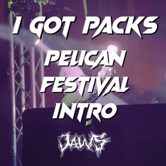 I Got Packs | Pelican Festival Intro