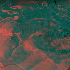PREMIERE: Marcu Rares & Fabio Massimo - AM Pupils
