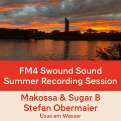 FM4 Swound Sound #1408