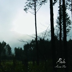 【XFD】Pale