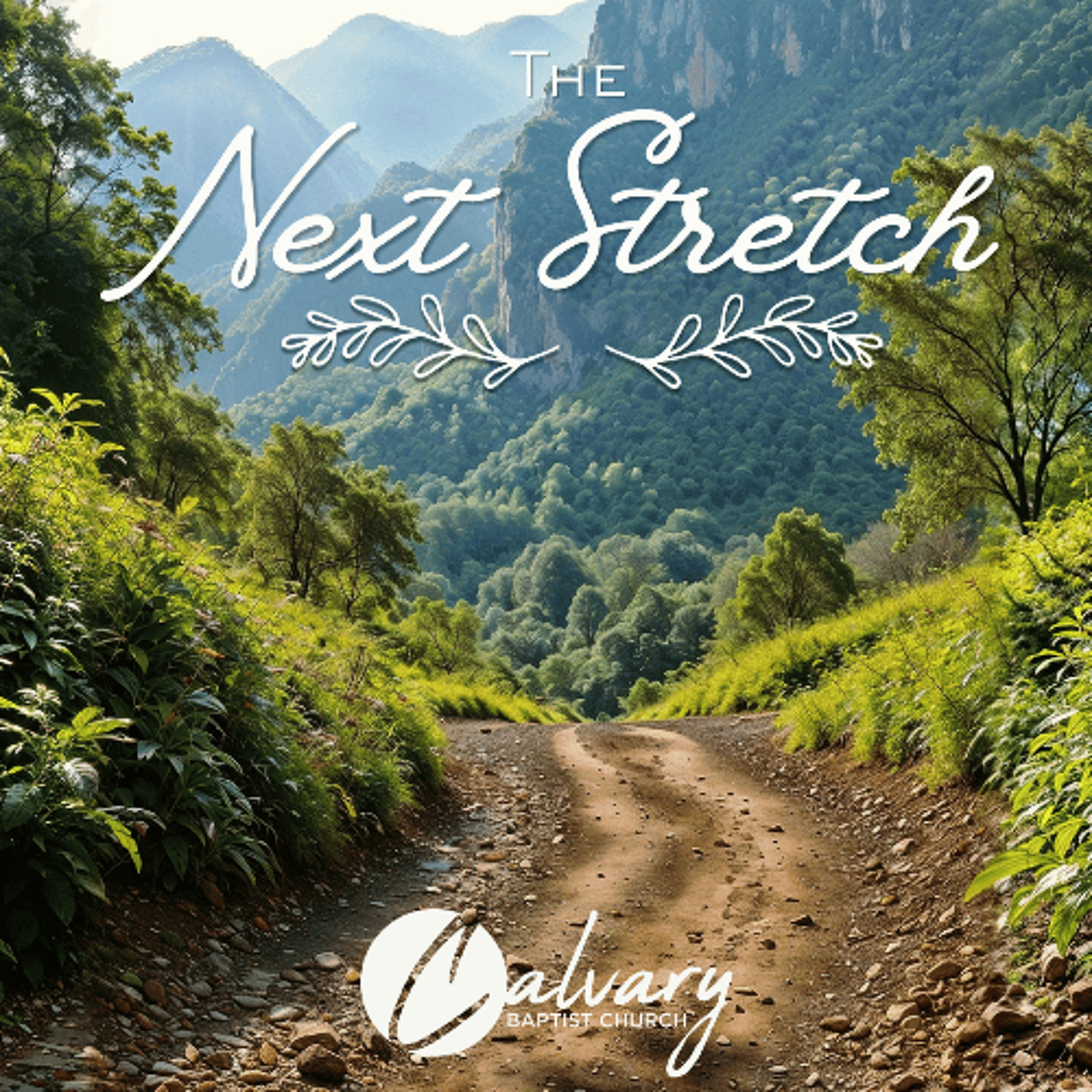 Godly Leadership | 2 Samuel 23:1-7 | Dave Cook episode artwork
