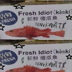 Dontlisten In Car Warning!!!!kinki idiot fresch