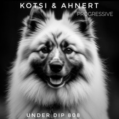 Kotsi & Ahnert UNDER DIP Ep. 808 Progressive House (122bpm)