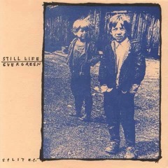 Still Life / Evergreen - Split 7" 1993