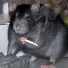 The time I went to Alaska and a pretty girl gave me donuts on the airplane