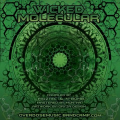 Qigong (VA - Wicked Molecular)