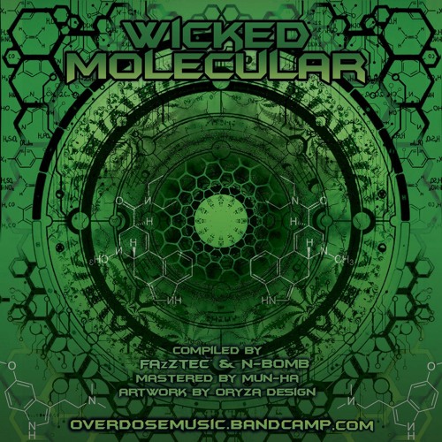 Qigong (VA - Wicked Molecular)
