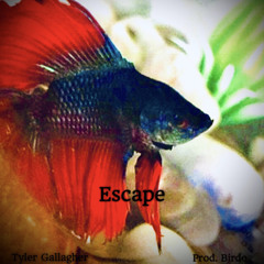 Escape [Prod. Birdo]