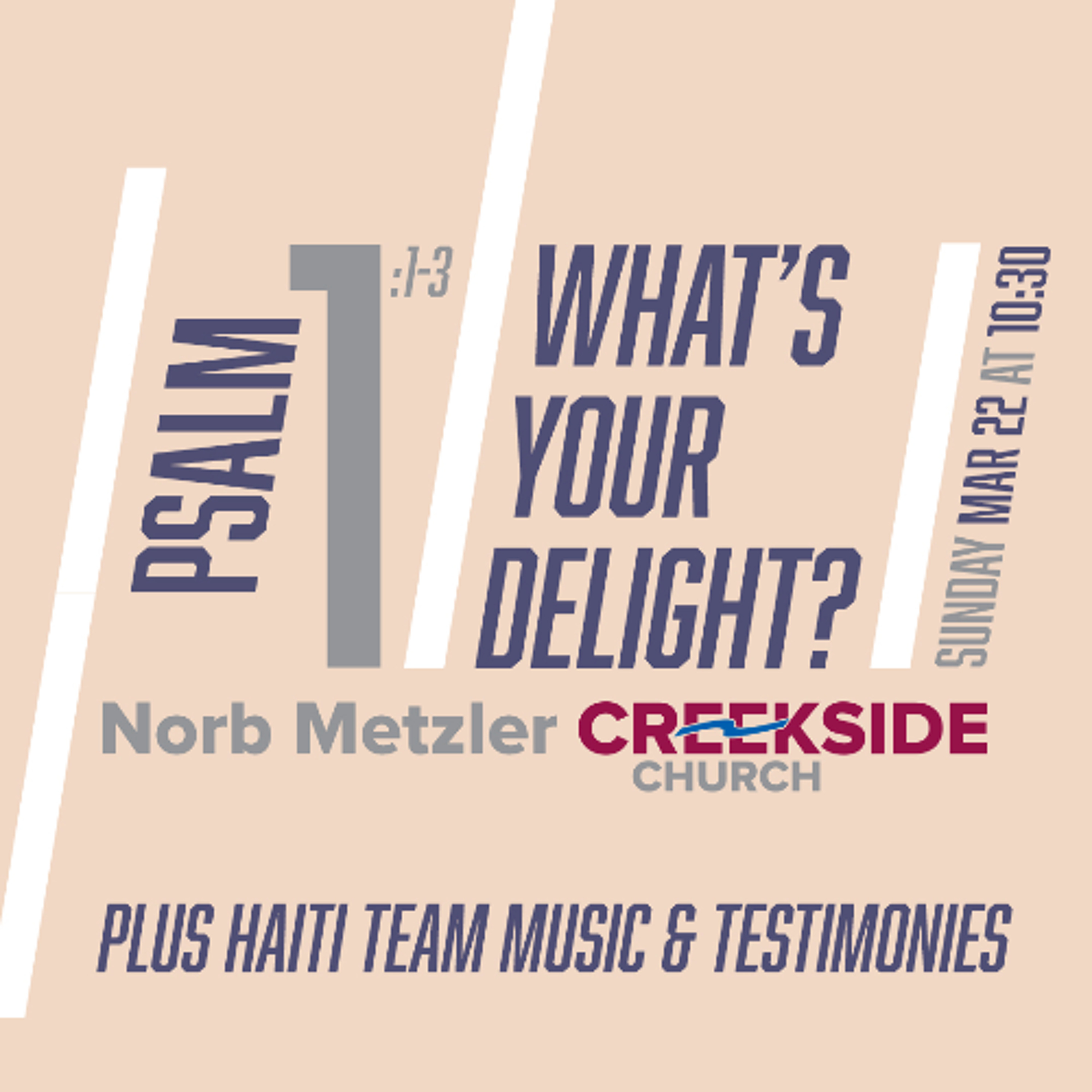 Psalm 1:1-3 - "What's Your Delight" & Haiti Team Testimonies episode artwork