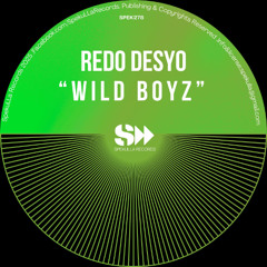 Wild Boyz (Original Mix)