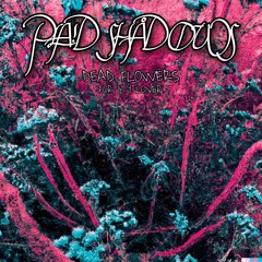 Dead Flowers