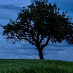 MP x SOLO: Persevere (Feat. Bronco Brandon) [Prod. MetzMusic]