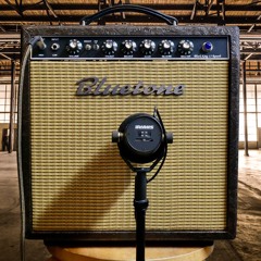 Bluetone Black King 15 – Demo Song