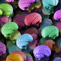 brain candy