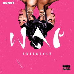 WAP - Cardi B, Megan Thee Stallion(Freestyle)