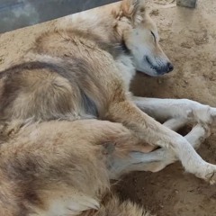 प्लेलिस्ट!