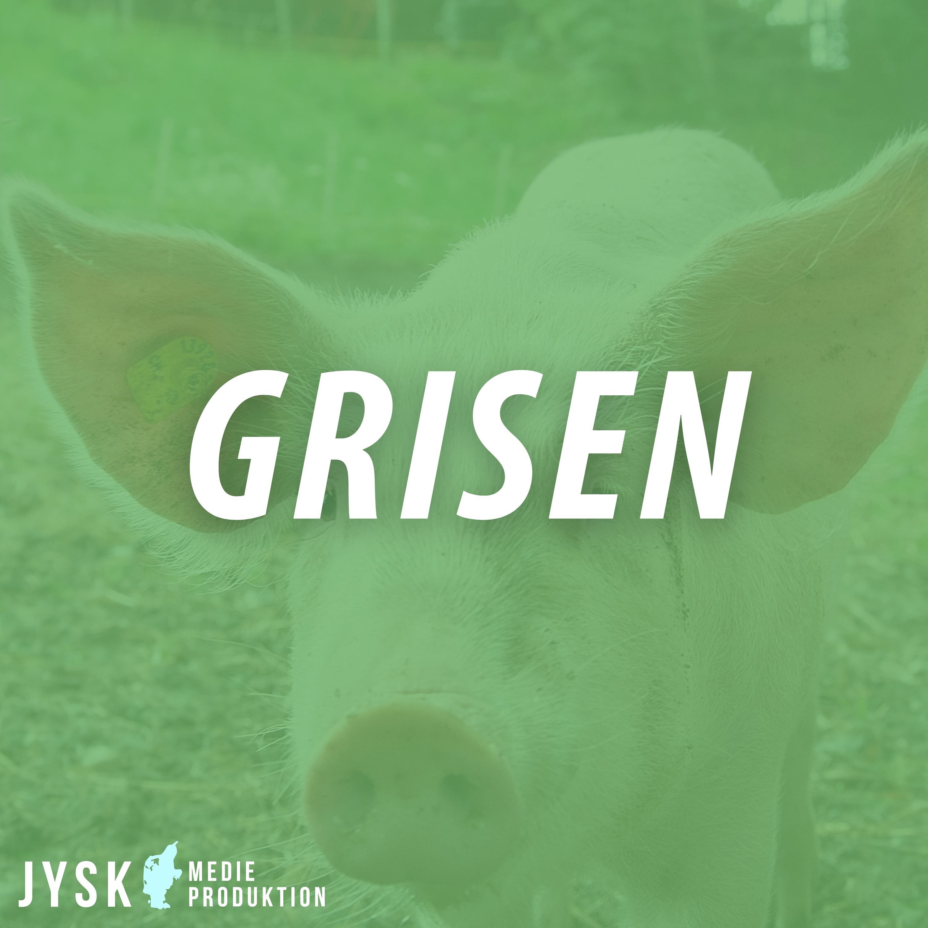 Grisen 2025 - E8: Nu kommer årsregnskaberne