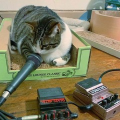 SELECTED MIXES