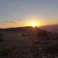 Naturträne (Nina Hagen cover)