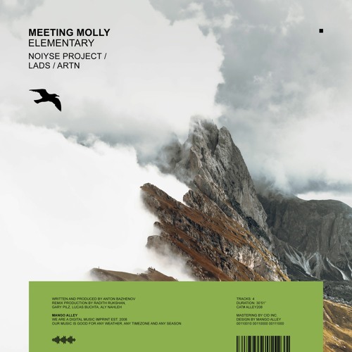 Premiere: Meeting Molly - Elementary (NOIYSE PROJECT Remix) [Mango Alley]